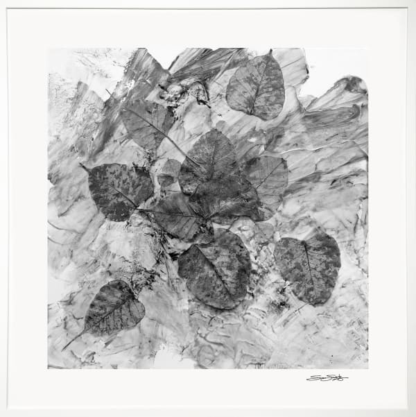 Changing Seasons 1 (B&W 1)