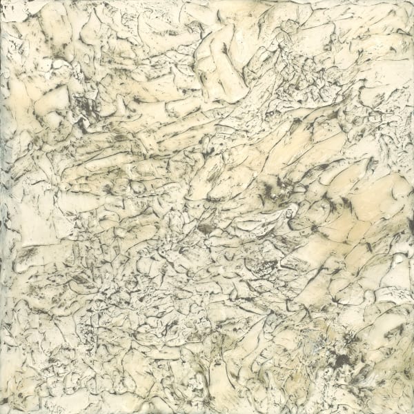 Natural Flux Understudy 2