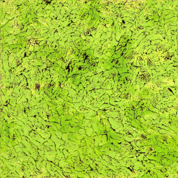 NZ Fragmented 3, 2016 20 x 20 in 50.8 x 50.8 cm