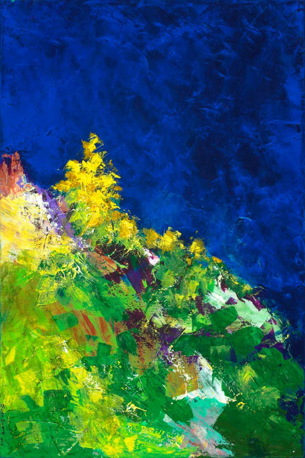 Evolving Visions Understudy, 2014 36 x 24 in 91.4 x 61 cm