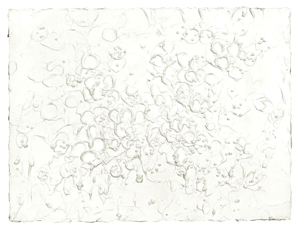 Nature's Resurgence 1