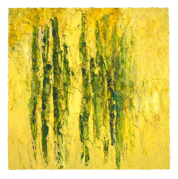 Secluded Woodland 5