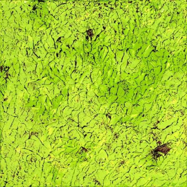 NZ Fragmented 5, 2016 20 x 20 in 50.8 x 50.8 cm