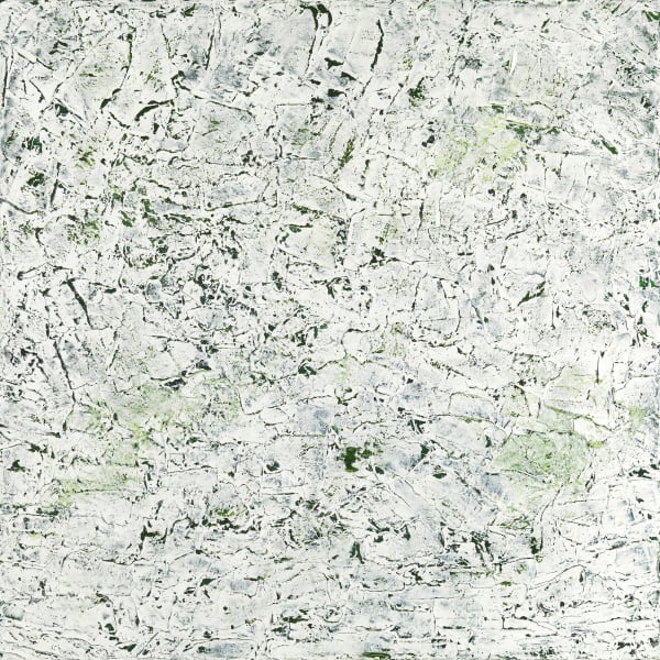 Susan Swartz, Green Reverie 2, 2015