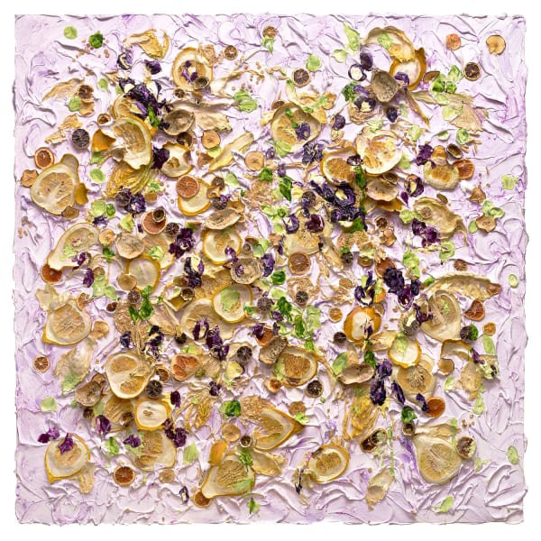 Evolution of Nature 20