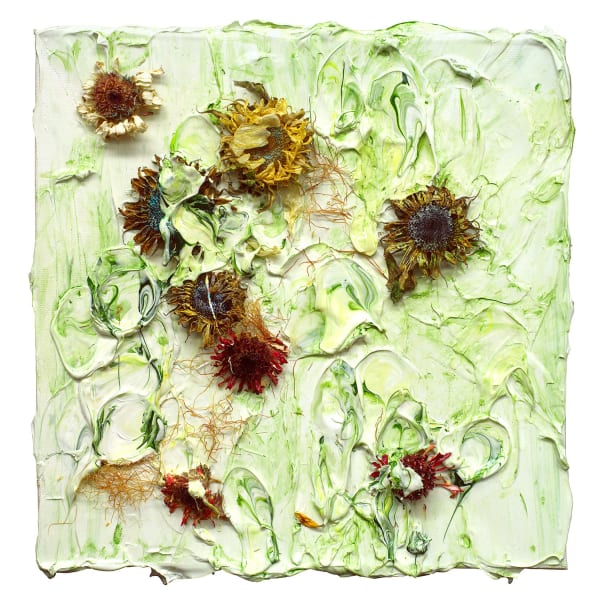 Sunflowers 11, 2024 12 x 12 in 30.5 x 30.5 cm