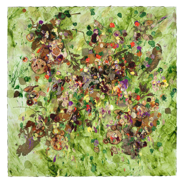 Evolution of Nature 26