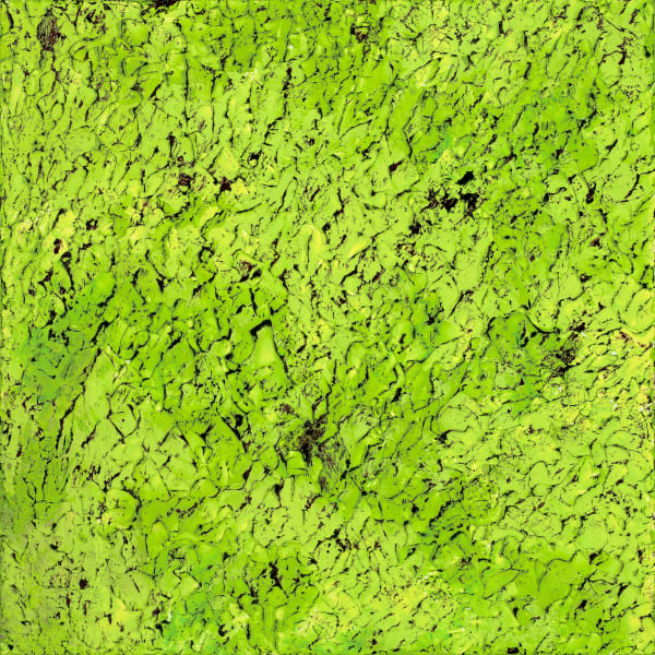 NZ Fragmented 6, 2016 20 x 20 in 50.8 x 50.8 cm