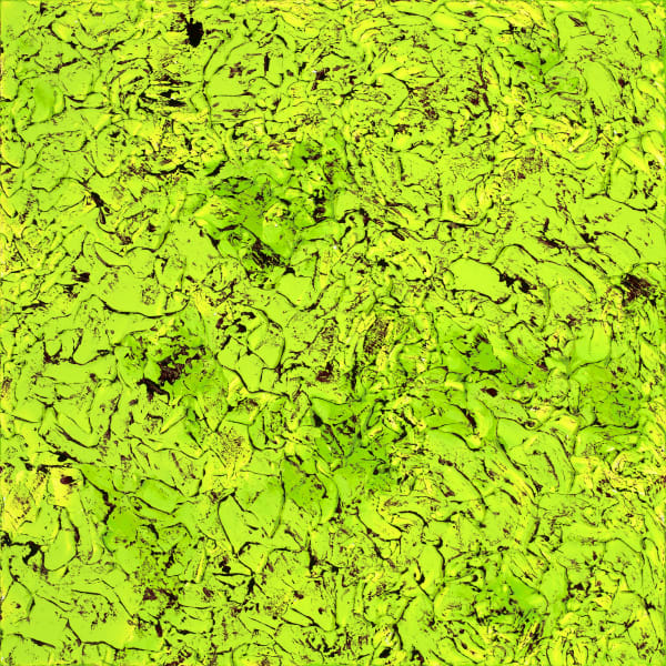 NZ Fragmented 4, 2016 20 x 20 in 50.8 x 50.8 cm