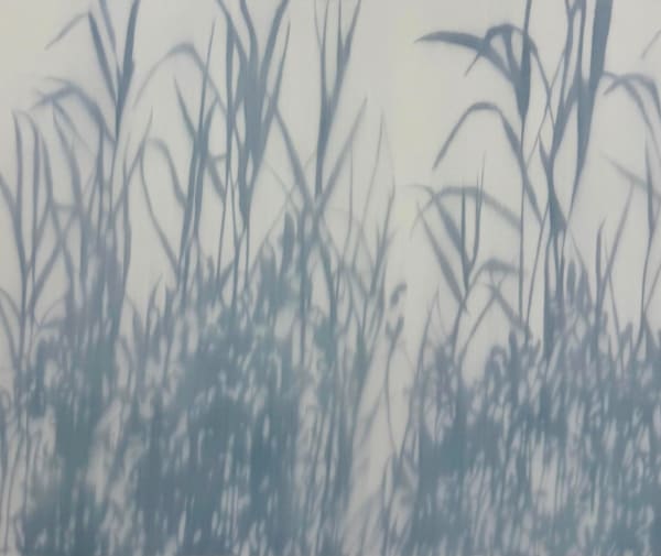 Tong Mo, Prelude of Light 23, 2025