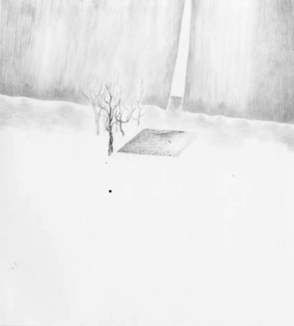 Ma Jiayue, Tree and Field