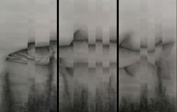 Qiu Jiahao, Order / Disorder, 2019