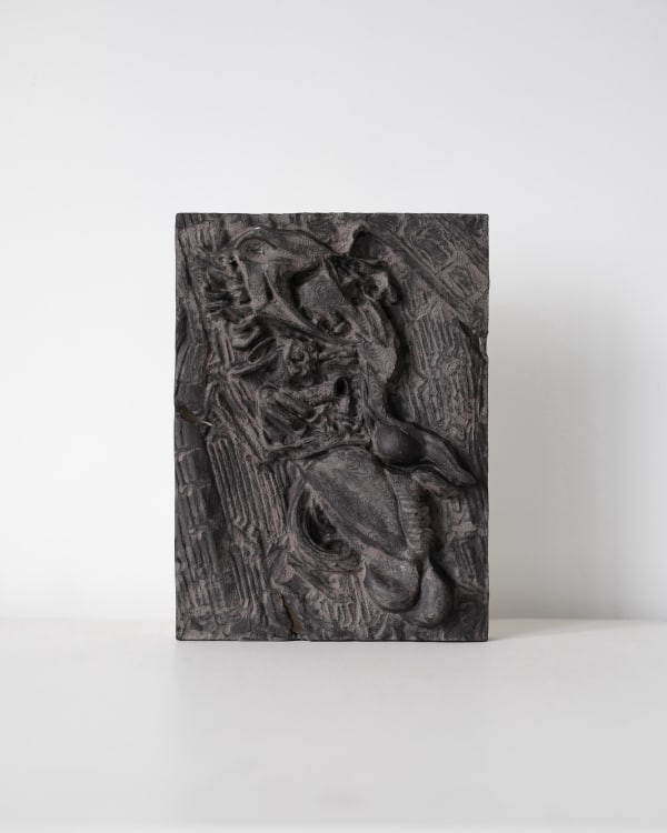 MIAO, FOSSILS SERIES, 2025