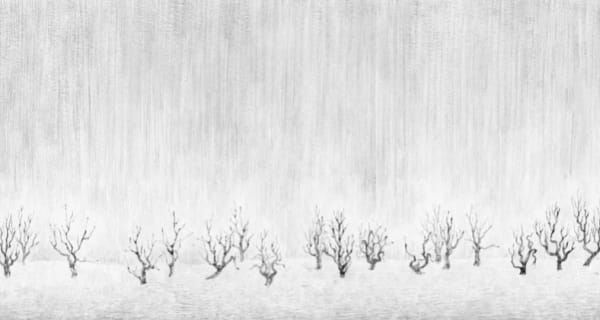 Ma Jiayue, A Line of Trees