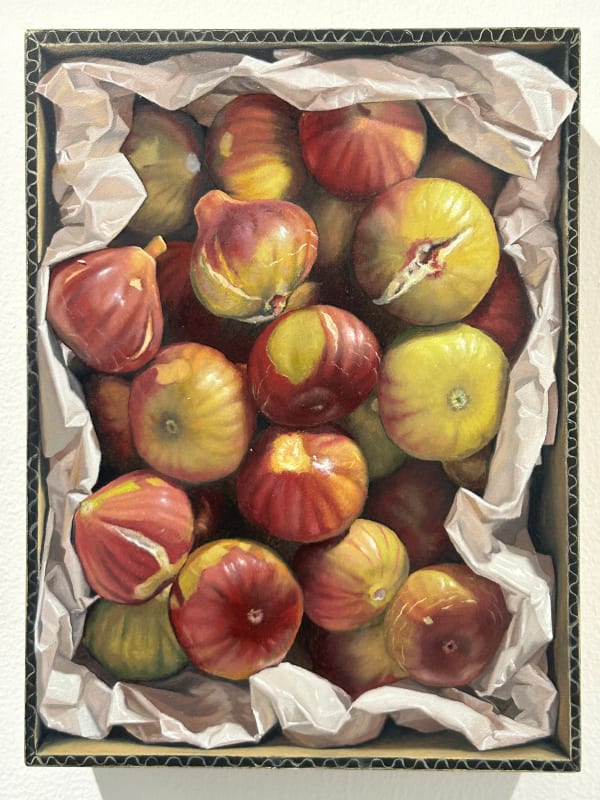 Michael Halak, Holy-Land Products-Figs, 2024