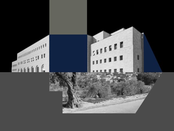 Hazem Harb, Paradise Lost #6, 2020