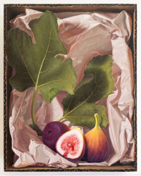Michael Halak, Terra Sancta (Figs), 2022