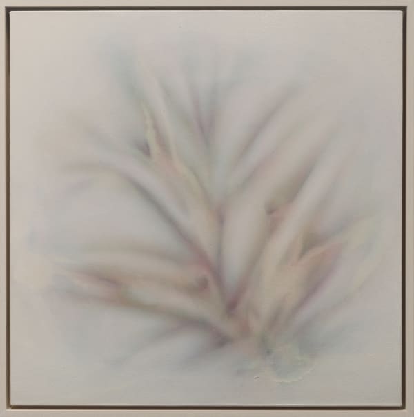 Miramar Al Nayyar, Recordings 12, 2024