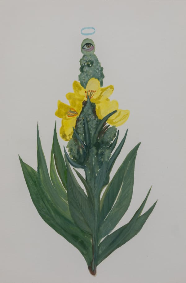 Alymamah Rashed, Mirrors from the Sidewalks (A Pilgrimage from Turkey to Holland), 2024