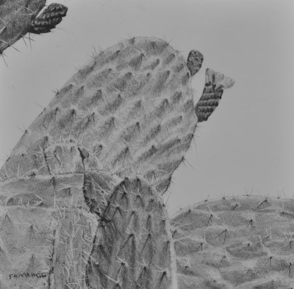 Samah Shihadi, Terra Studies 13, 2020