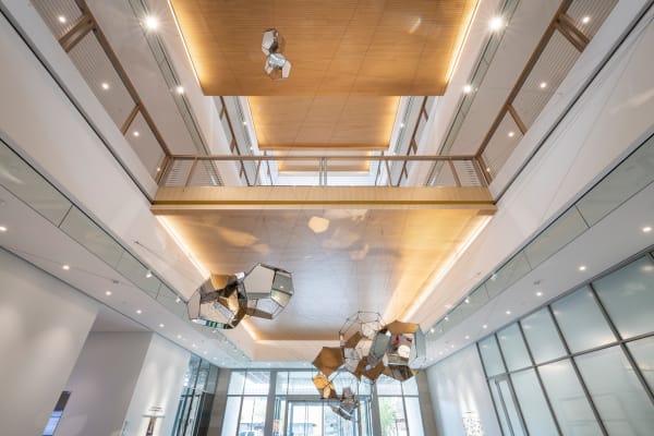 Image of Tomás SARACENO, Crux Australis 68.00, 2023.