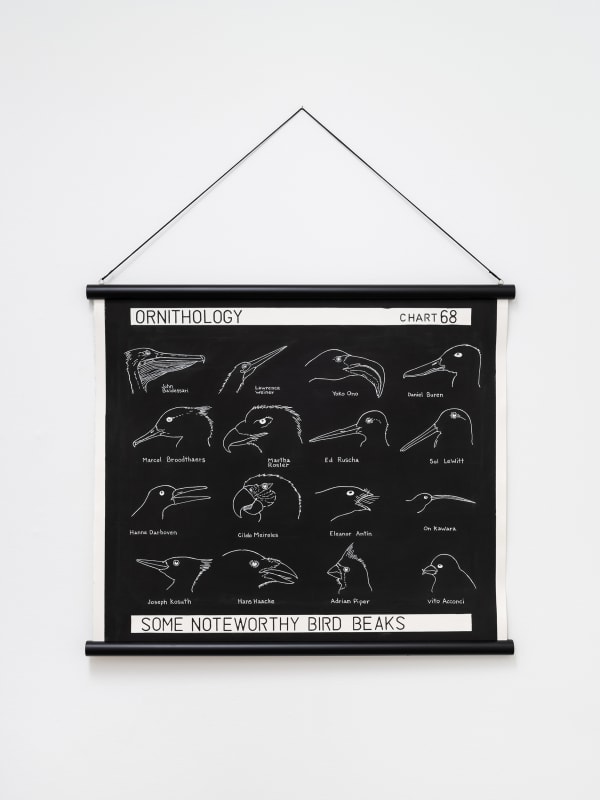 Some Noteworthy Bird Beaks, 2022