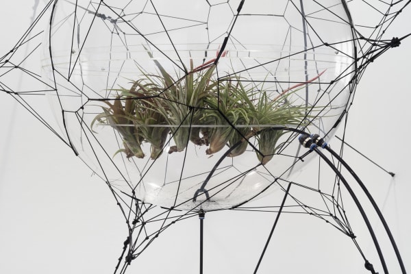 Biosphere 06 [detail], 2009