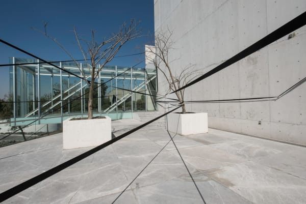 The Landscape Puller (M=f/ W=f), 1998/1999/2000/2013