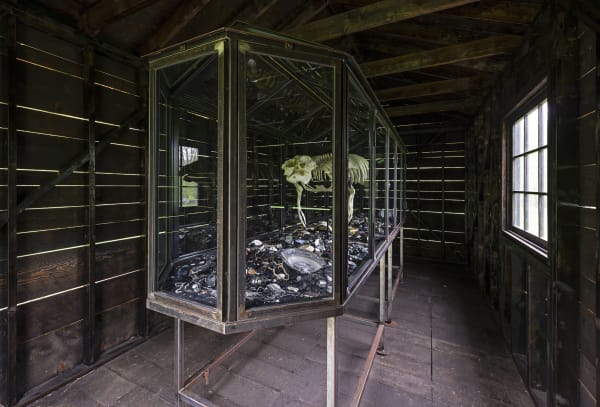 The Dark Museum, 2011/2019
