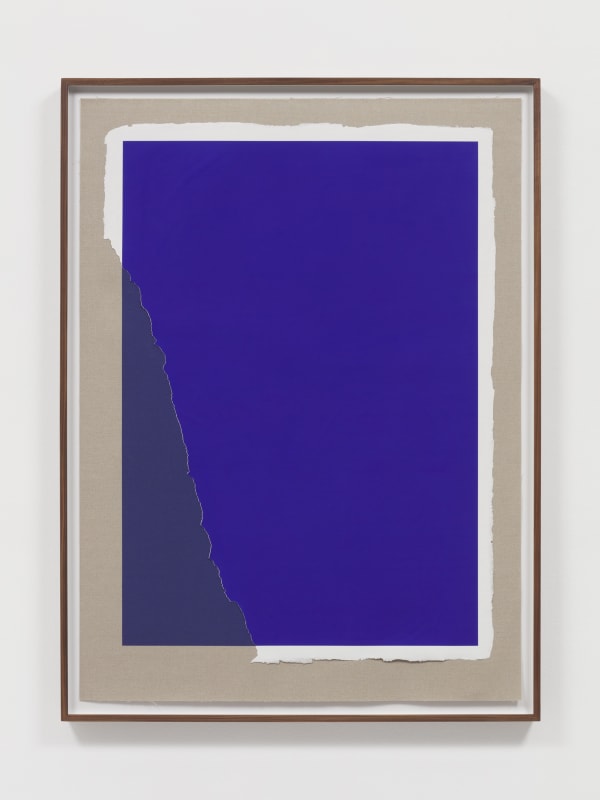 analia saban blue print