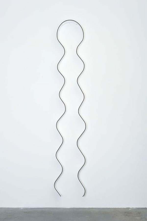 Loose Curl, 2014