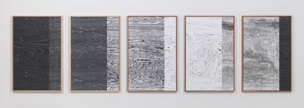 Landscape Portraits (Some North American Trees), 2014