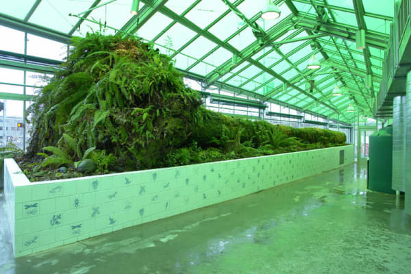 Neukom Vivarium, 2006