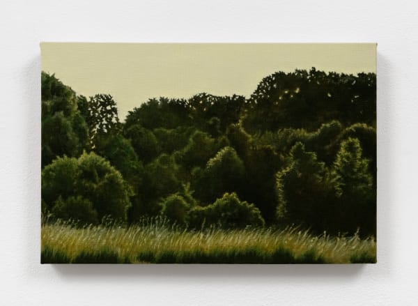 Kudzu, 2024