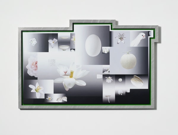 Beyond the Pale, 2014