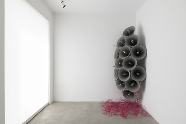 Í blóma (In bloom), 2019