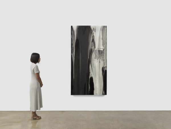 Untitled (from the series By Chance and Necessity - Nocturno), 2017