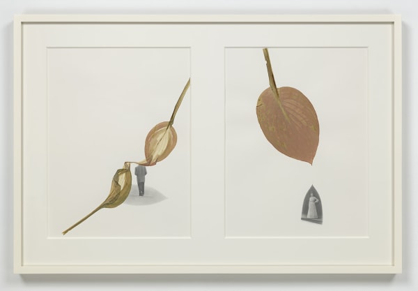 Dart, 2015