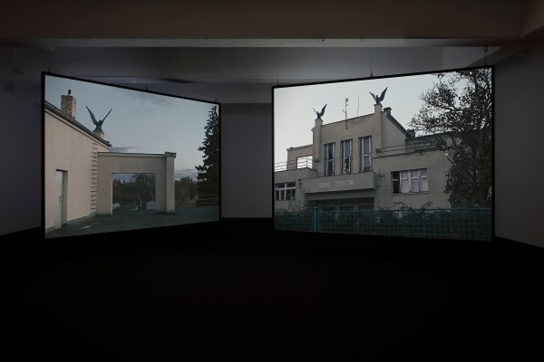 Study for Strings Sokol Terezín, 2023