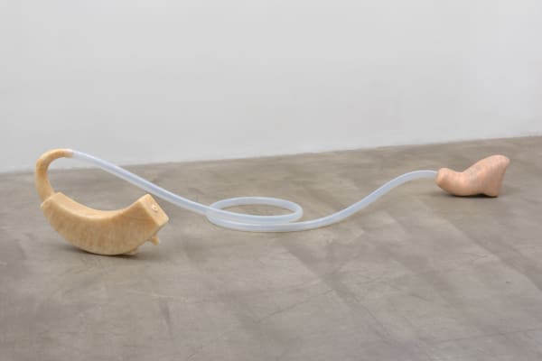 In Praise of Listening, 2016