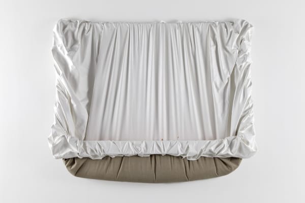 Trough (Flesh), 2012