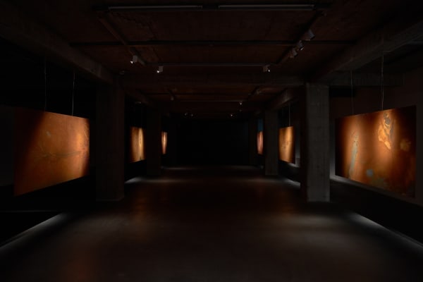 REK (Plate Tectonics), 2024