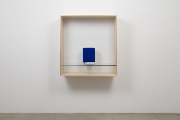 Untitled (Pantone 286), 2016