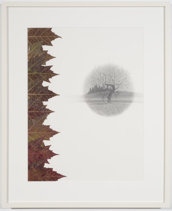 Chromosome, 2013