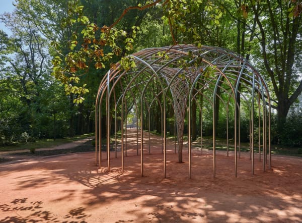 Image of The curious vortex.