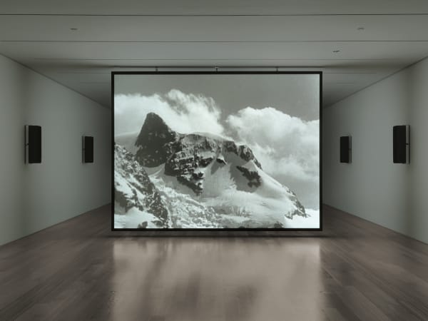 White Flood, 2019