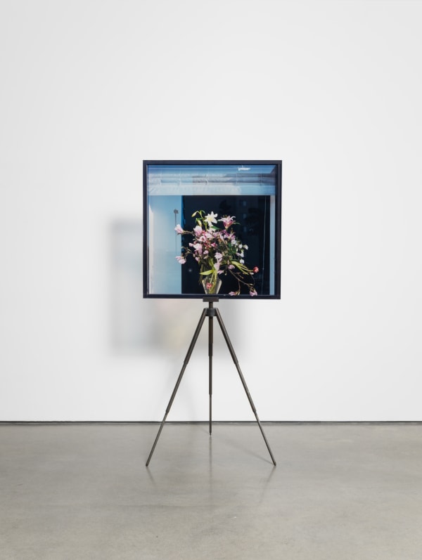 Tripod, 2016