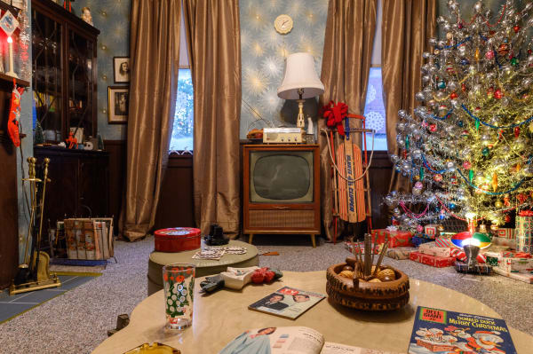 Image of Mark Dion, Mrs. Christopher's House..
