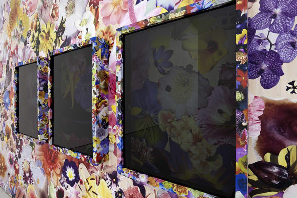 A Conversation with Photography [detail], 2012