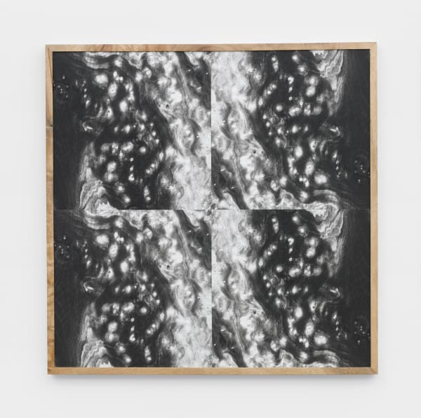 Landscape Portraits (Camphor) (Version IV) , 2020